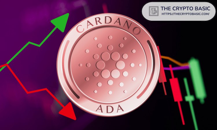 **Cardano окончательно выпал из первой десятки, …