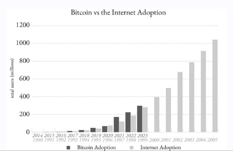 **Bitcoin vs. Internet Adoption