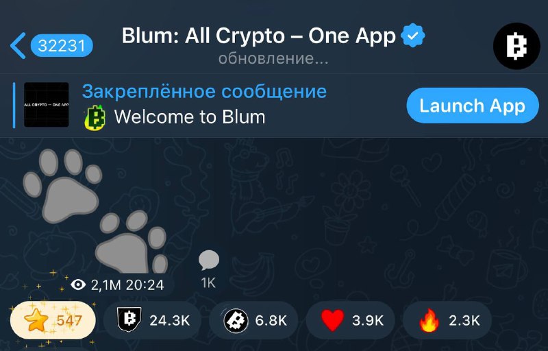 **Blum поддержали PAWS*****💫***