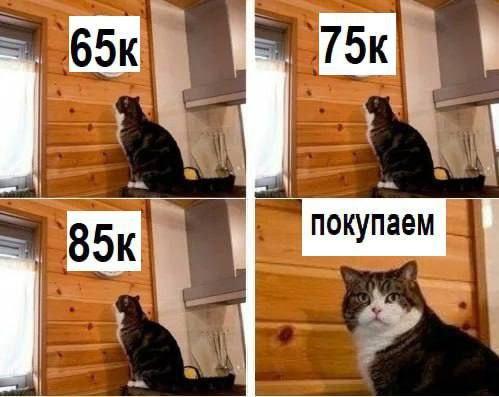 ***🐱***По поводу общей ситуации на рынке …