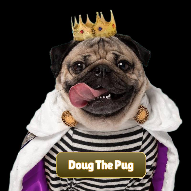 DOUG THE PUG Fairlaunch