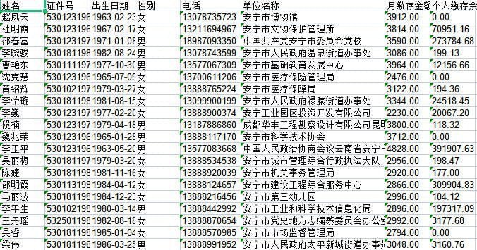 余额月缴公积金，同通道，老客户看到这个 格式应该都明白这个货得质量客服 [@XZ562](https://t.me/XZ562)