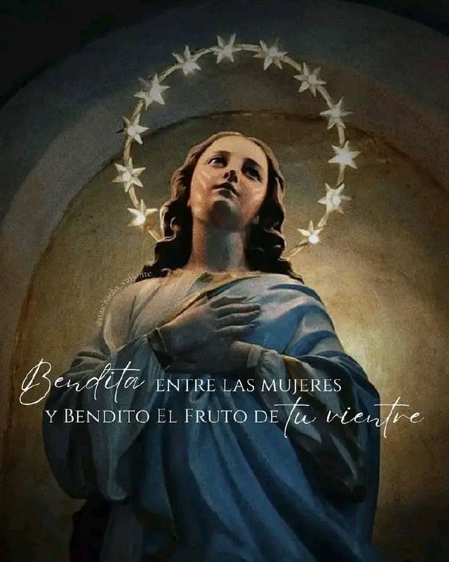 Feliz día de la Inmaculada Concepción …