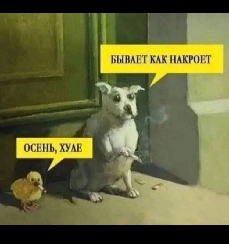 Контрол Леди