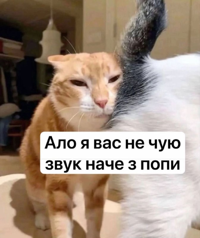 [Підписатися](https://t.me/CTRL_PLUS_MEME) | [Пропонуйка](https://t.me/ProposeFPECS_bot)