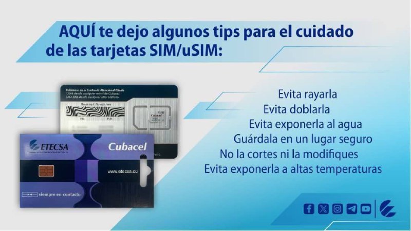 Sigue estos consejos para mantener tu …