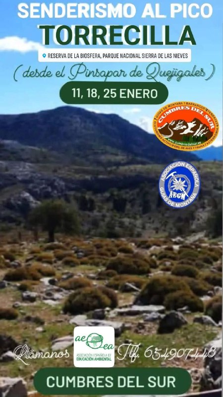 CANAL CHAT CUMBRES DEL SUR