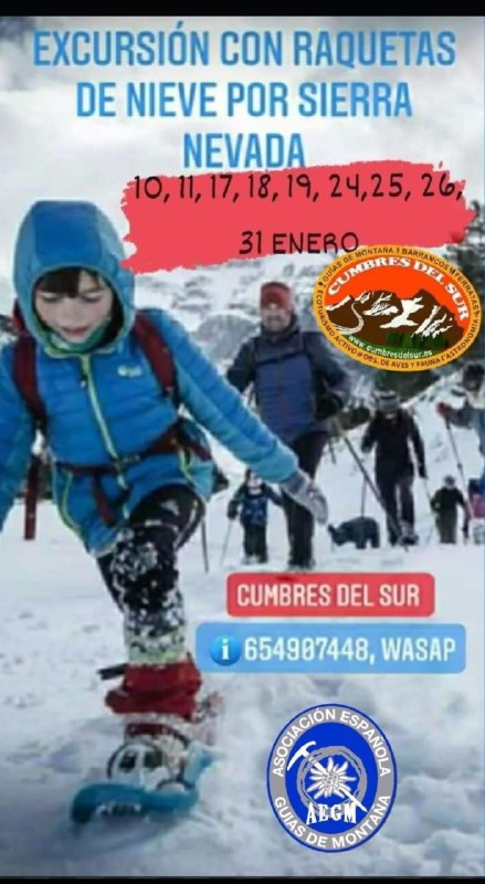 CANAL CHAT CUMBRES DEL SUR