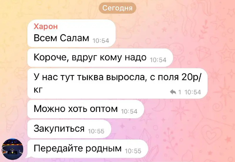 вообще-то сезон хингалгаш ребята, даже?