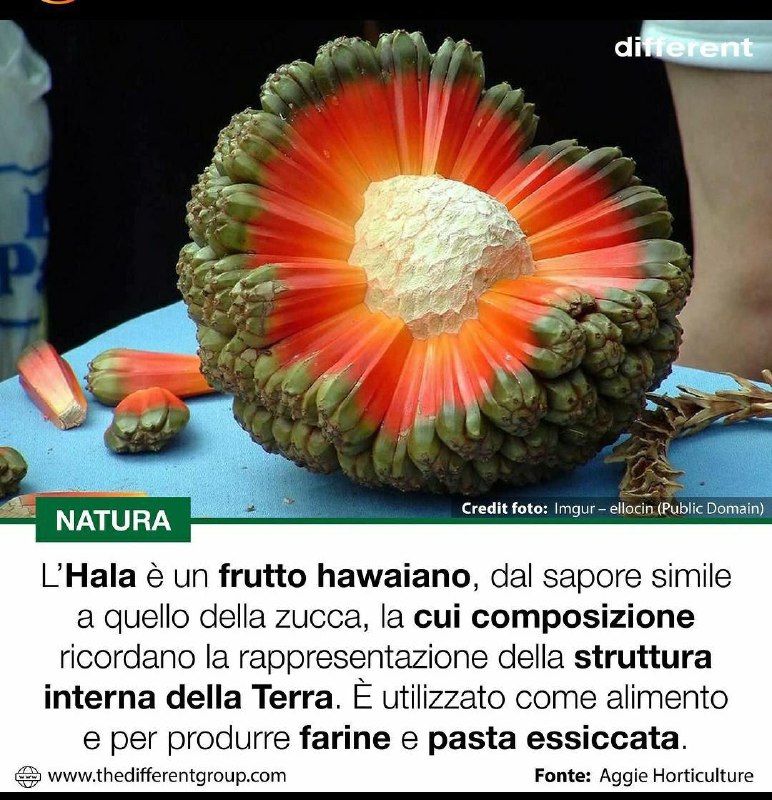 Curiosità e cultura ??‍?