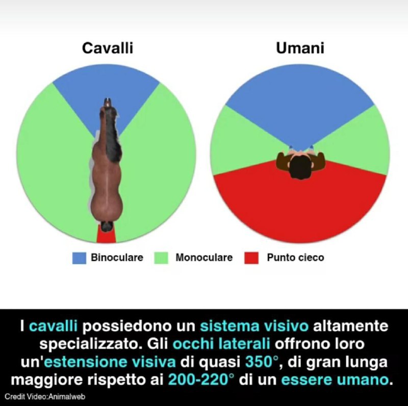 Curiosità e cultura ??‍?