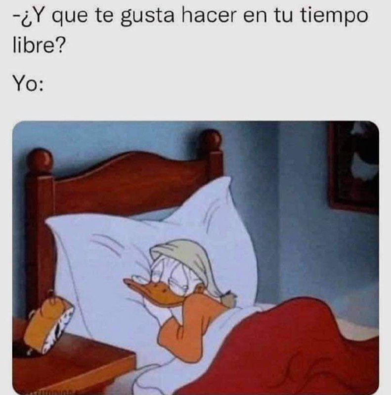 Curiosidades, memes y más...