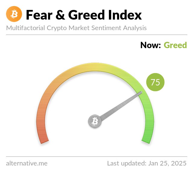 [​](https://alternative.me/crypto/fear-and-greed-index.png?January%2025,2025)**Market Update as of January 25,2025**