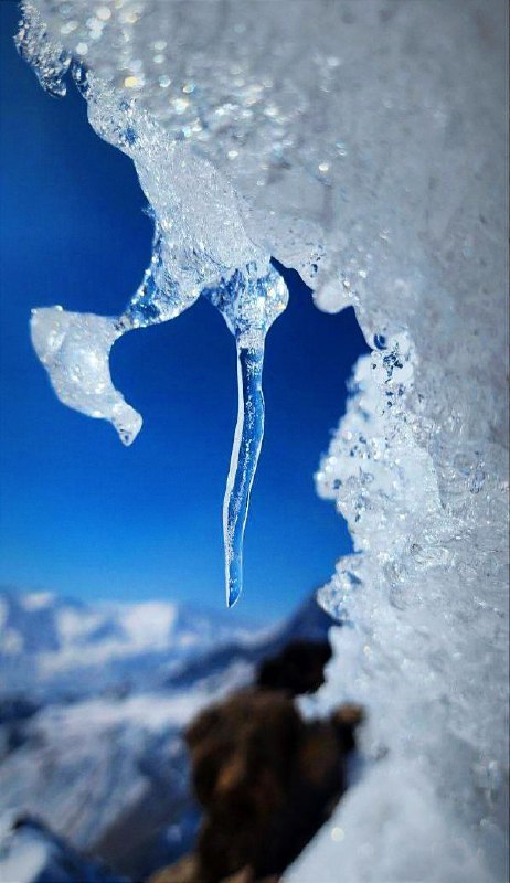 عاشقی دل می دهد معشوقه ای …