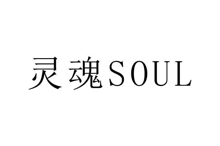 ***🍖***soul灵魂