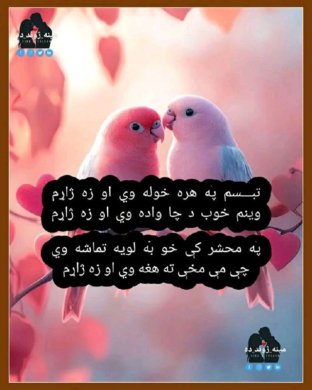 **تبـــسم په هره خوله وي او …