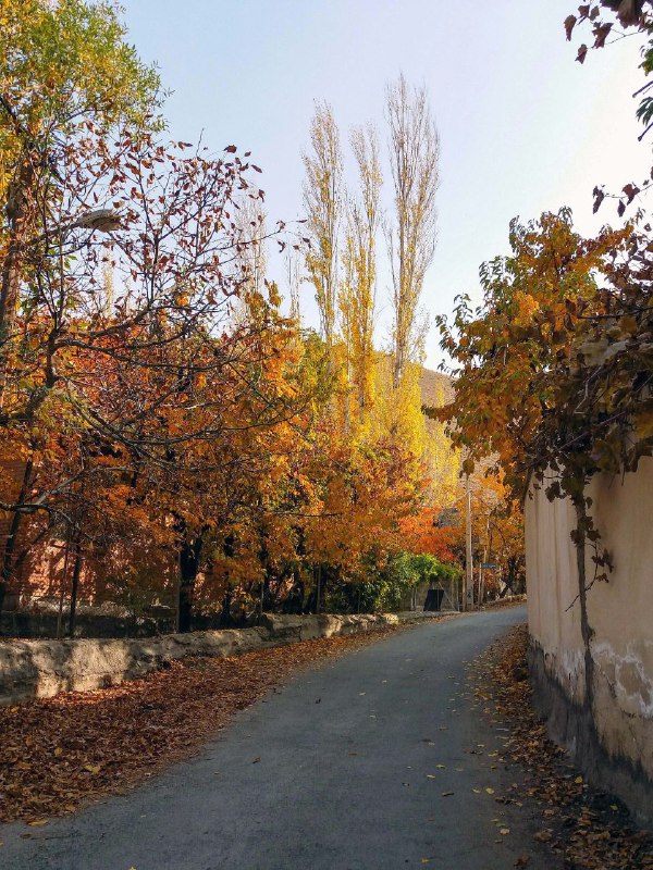 ***?*** **پائیز، فصل سفرهای خاطره‌انگیز است**