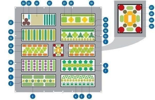 Долго искала схему овощной клумбы, чтоб …
