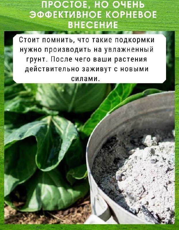 Heбoльшиe ceкpeтики для ypoжaйнocти.