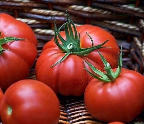 [​](https://telegra.ph/file/75fa4c8658722ec5e5d6f.jpg)***🍅*** 10 Советов для успешного выращивания …