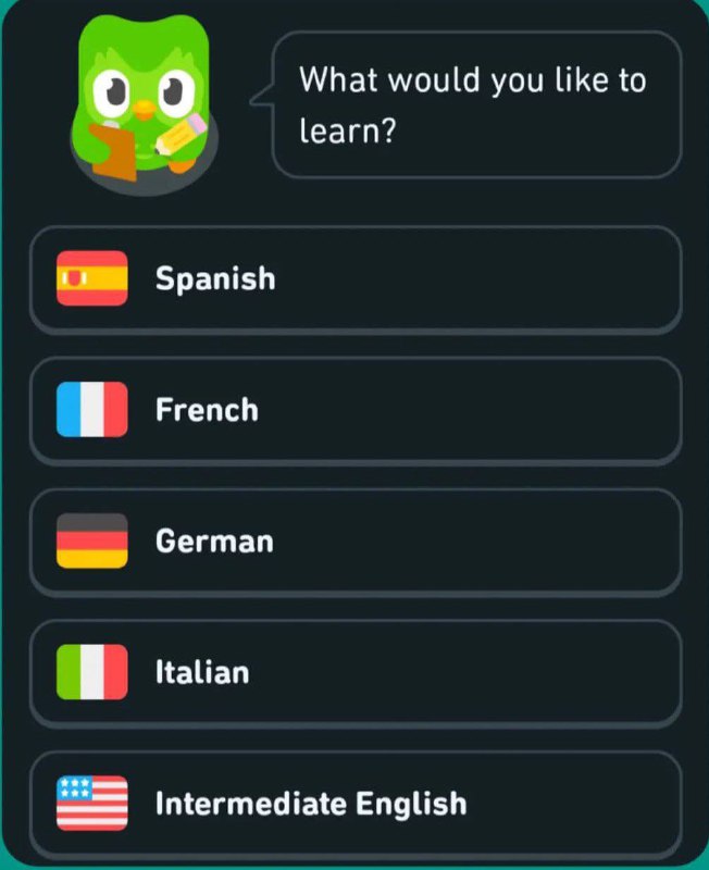 **Duolingo**
