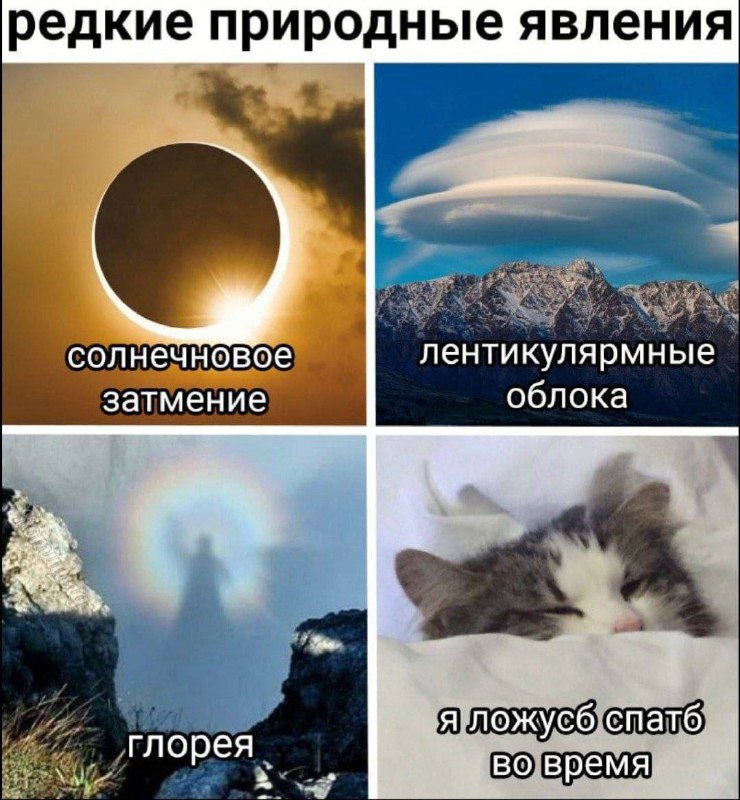 Последнего ещё никто не видел