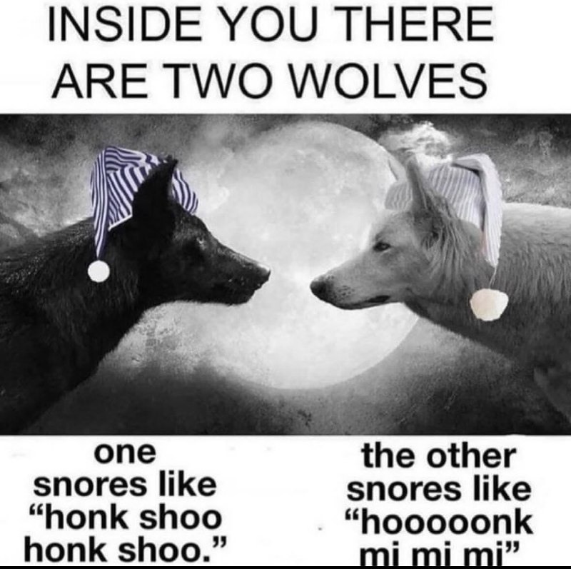 Шваброхранилище