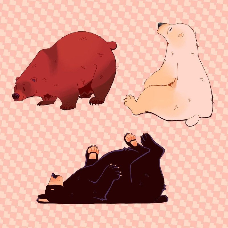 [@DailyBears](https://t.me/DailyBears) (29/12)