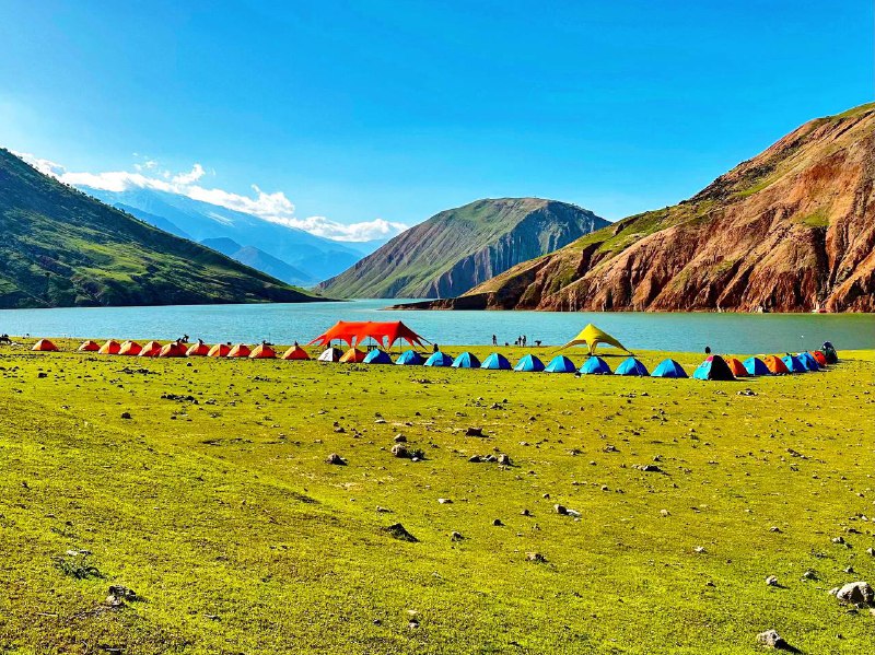 Dalf Tour / دلف تور