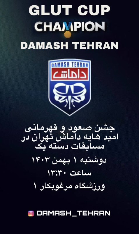کانال رسمی باشگاه داماش تهران