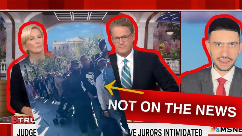 Morning Joe takes an unexpected turn as a guest brings up the illegal immigrant issue in NYC: