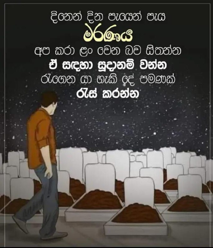 දම් සයුර🙏☸️