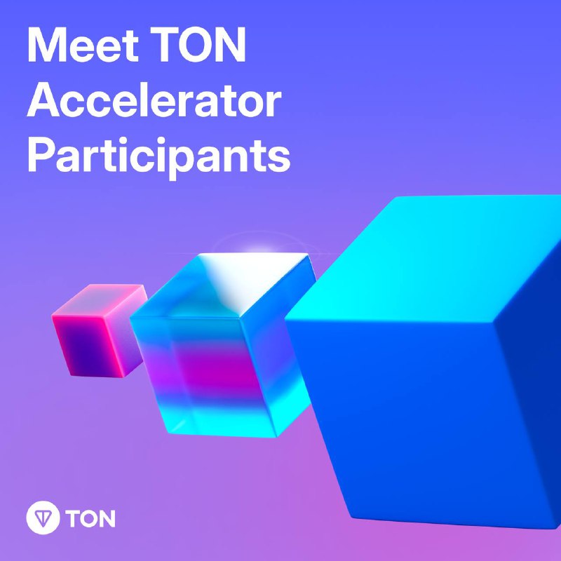 [​](https://telegra.ph/file/a6d3def024d83d75594dd.jpg)**TON Accelerator Participants**