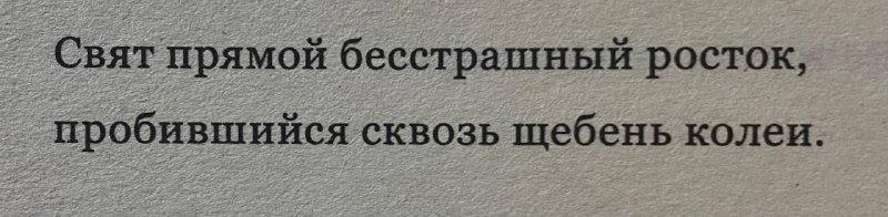 ровно час назад: «всё готово!»