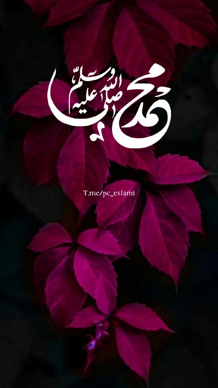 مــامــۆستــا ڕەســوڵ