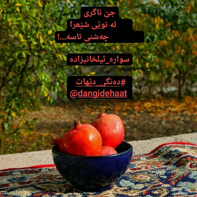 **جێ ناگری