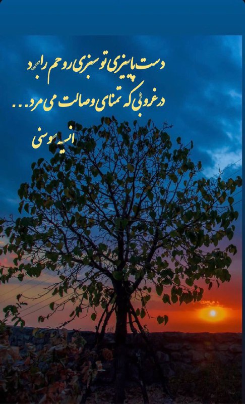 **دست پاییزی تو سبزی روحم را …