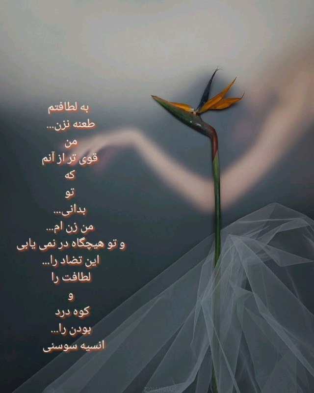به لطافتم