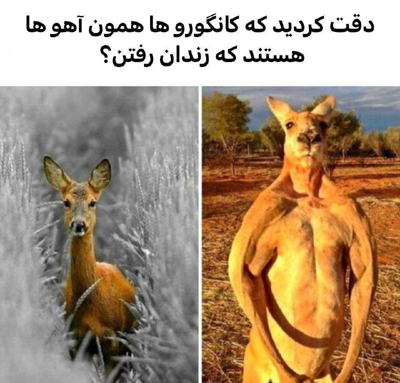 این چه سمی بود من دیدم***😑******😂***