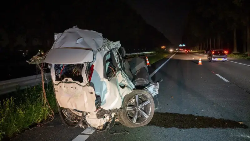 Hollanda'da bir ağaca çarpan Volvo'nun görüntüsü …