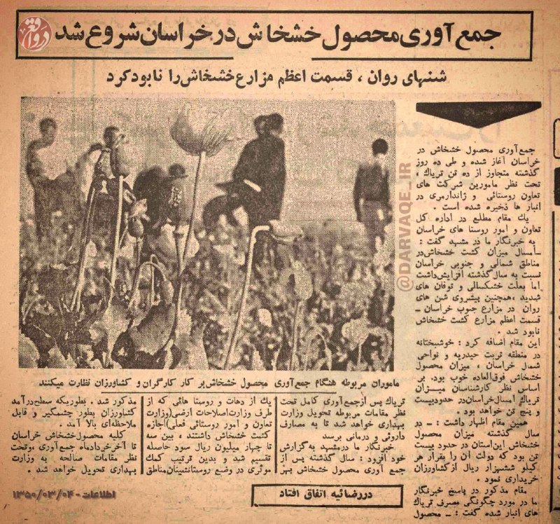 ***?*** کشت قانونی خشخاش قبلا رایج …