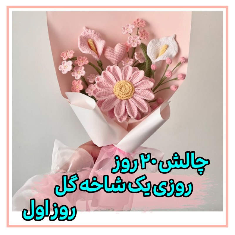 چالش ۲۰ روز روزی یک شاخه …