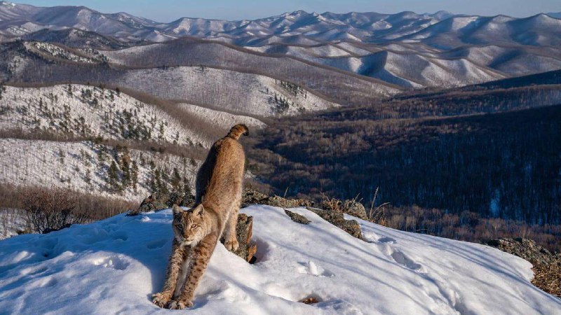 Российский фотограф Игорь Метельский победил в …