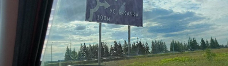 Дашка +вайб🐾