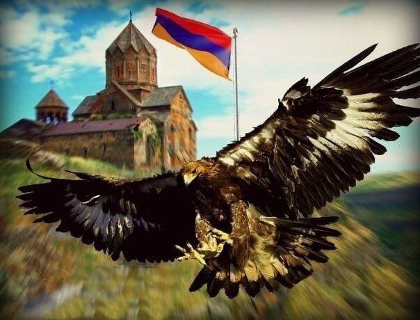 ***🇦🇲******🦅***