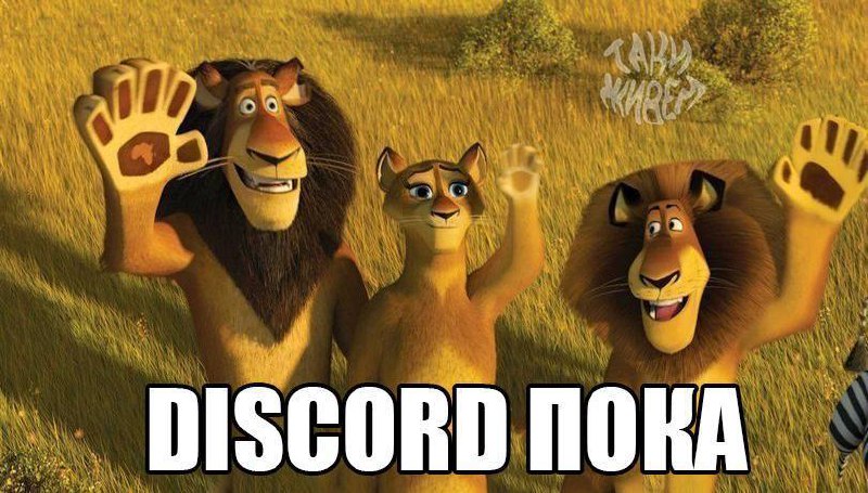 Отец знакомого работает в Discord. Сегодня …