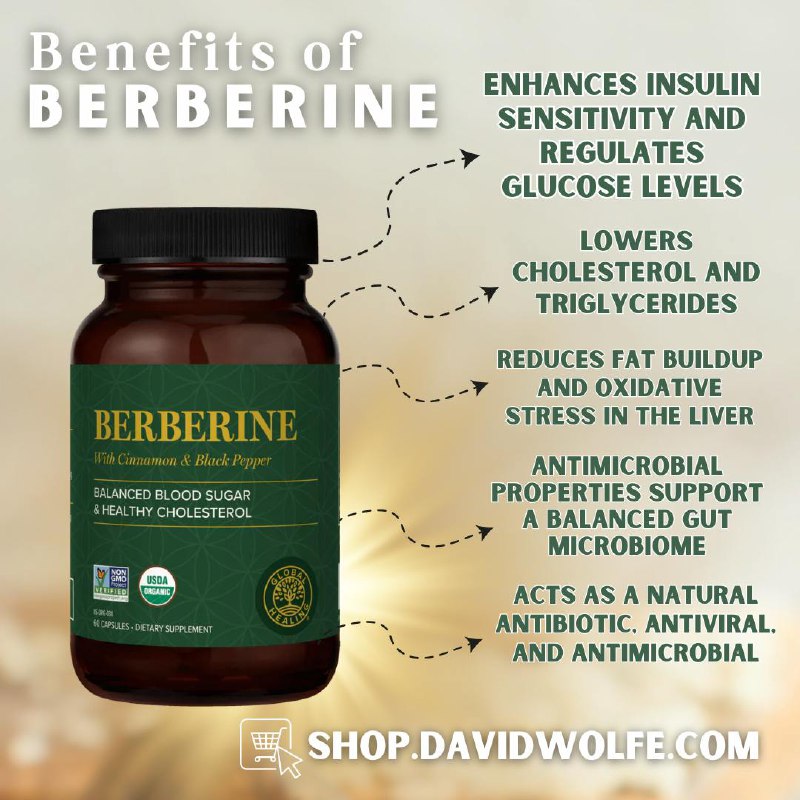 ***?*** Berberine: The Plant Powerhouse for …