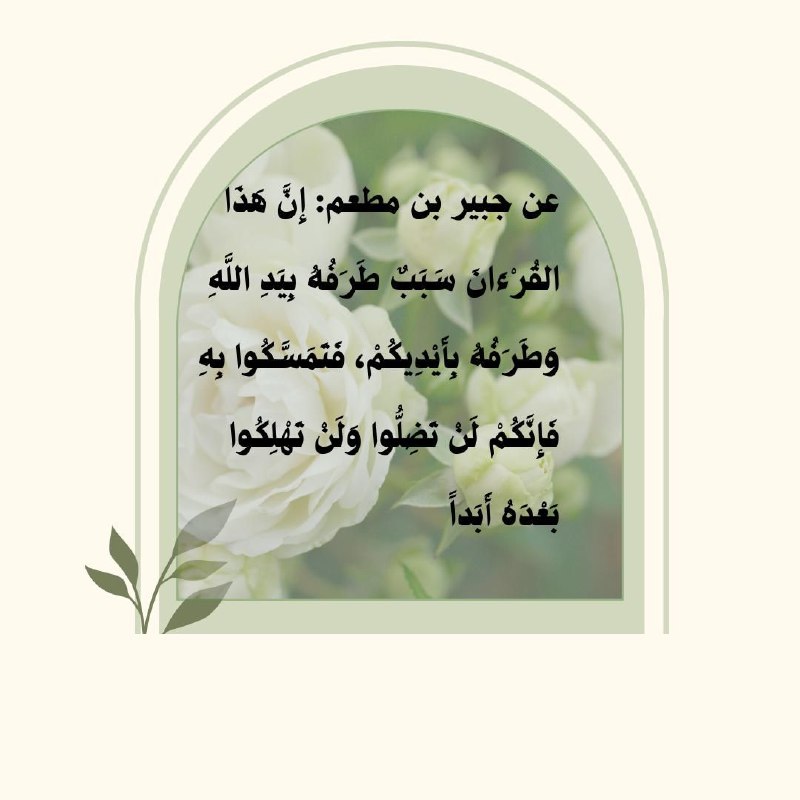 دوح | DAWH