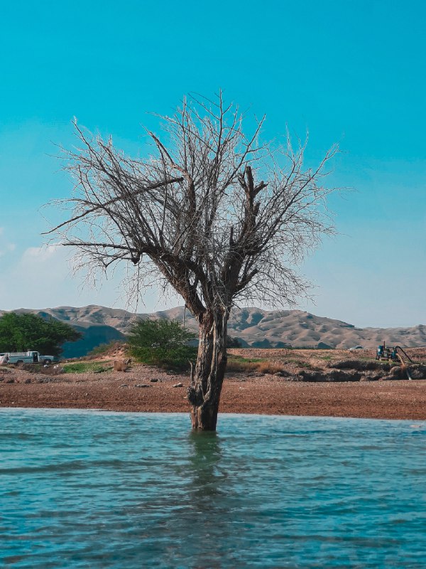 دایه‌ی وایه