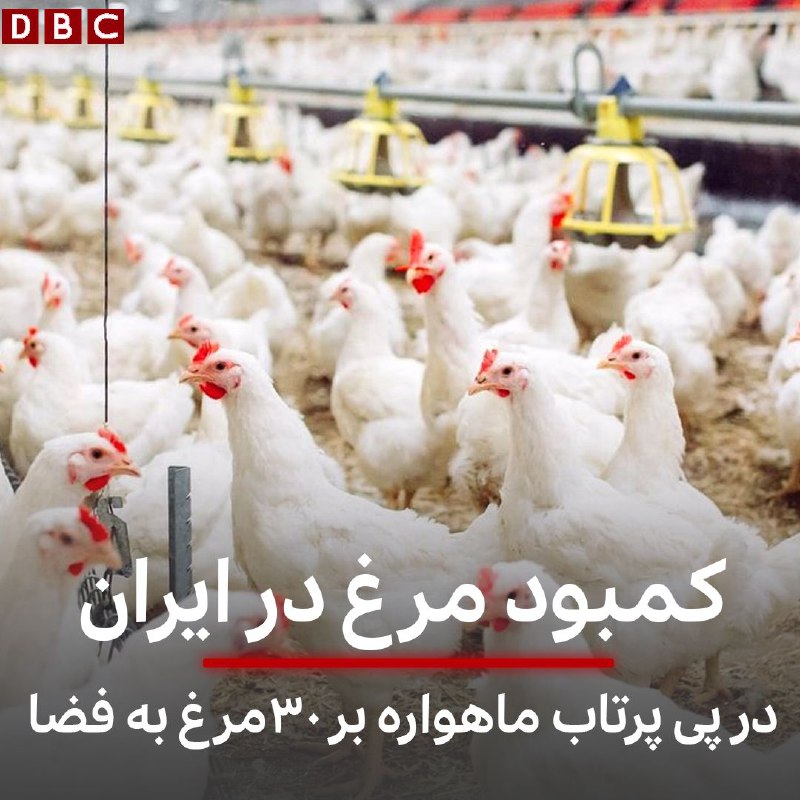 ***?*****این‌جا همه‌ی خبرها راست است:**